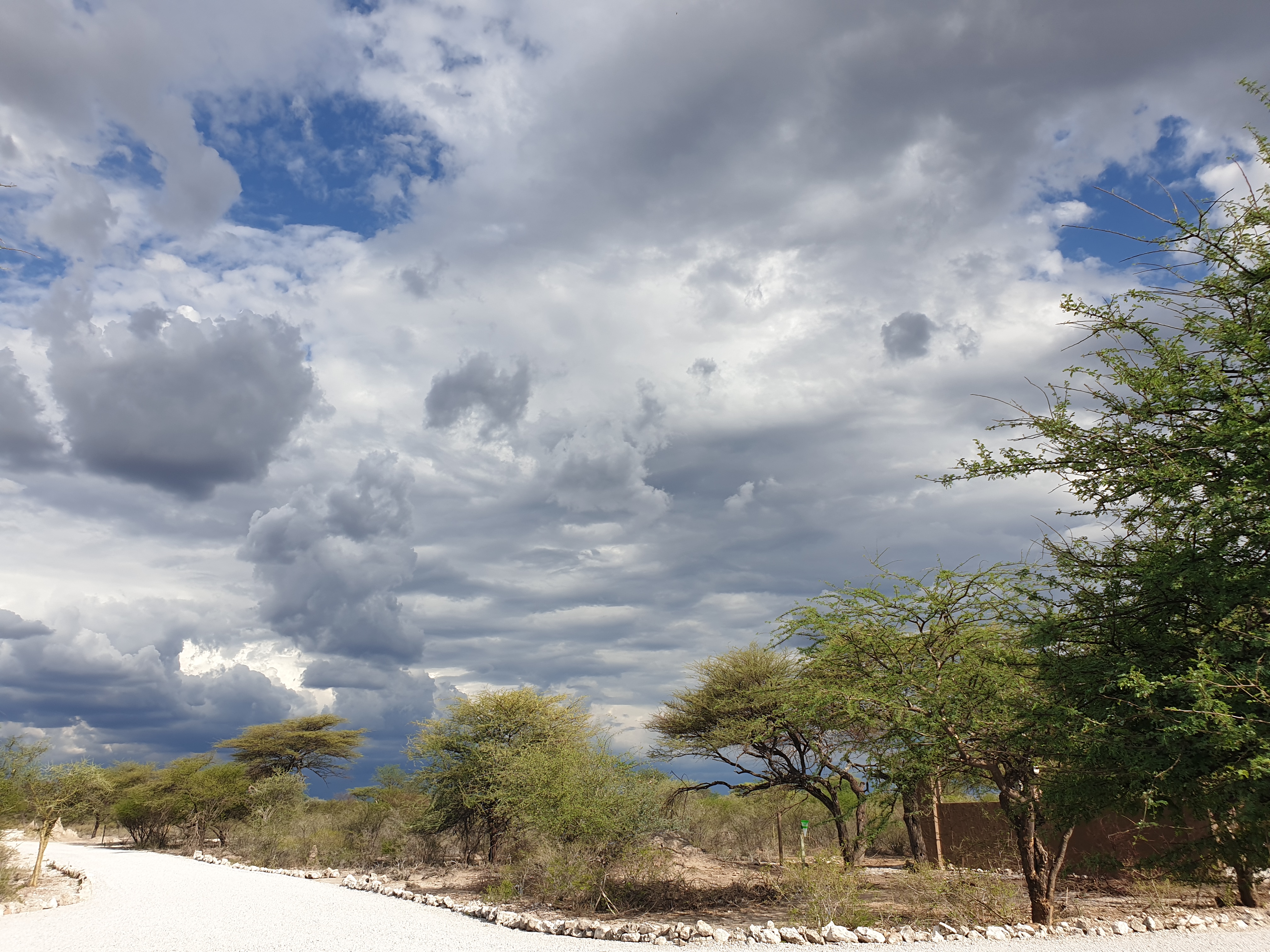Entrée dans l'Onguma Nature Reserve, Namibie, sous un ciel tourmenté.